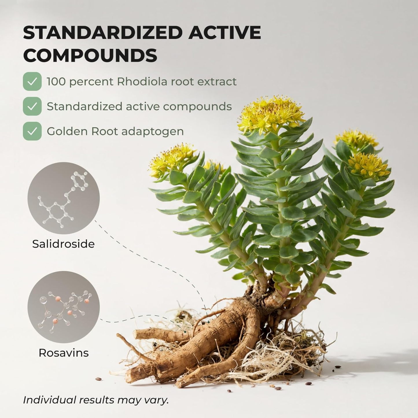 Rhodiola Rose Extract