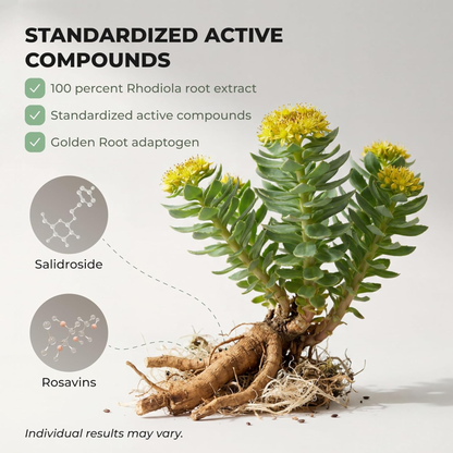 Rhodiola Rose Extract