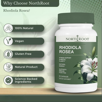 Rhodiola Rose Extract