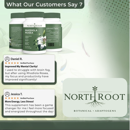 Rhodiola Rose Extract